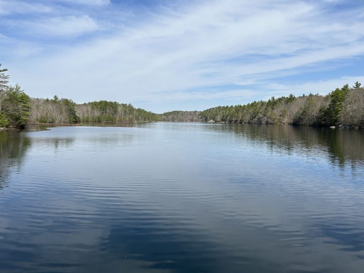 Middle Pond